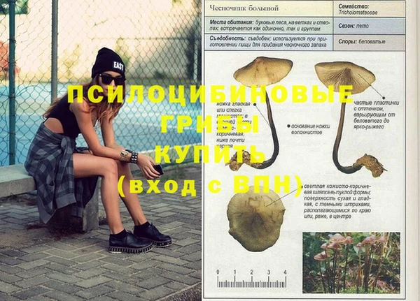 дживик Армянск