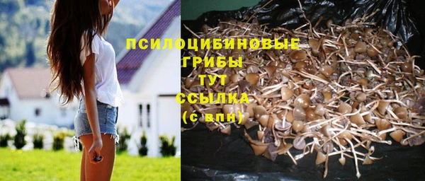дживик Армянск