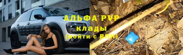 дживик Армянск