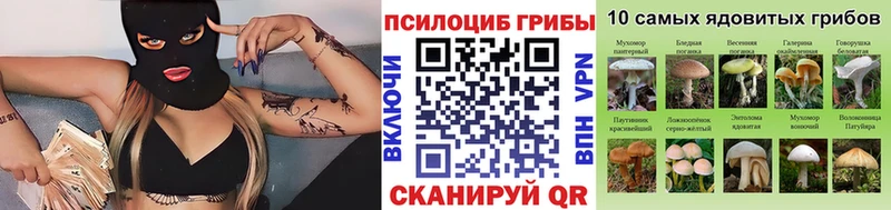 Галлюциногенные грибы Magic Shrooms  где купить   KRAKEN онион  Опочка 